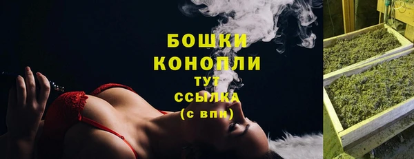 spice Ладушкин
