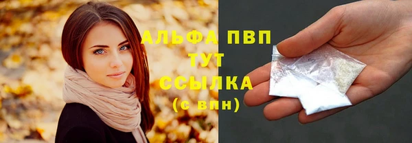 стафф Лабытнанги