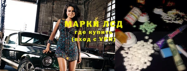 индика Новоуральск