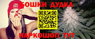 спиды Камышлов