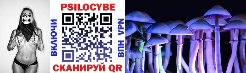 Псилоцибиновые грибы Psilocybe  Череповец 