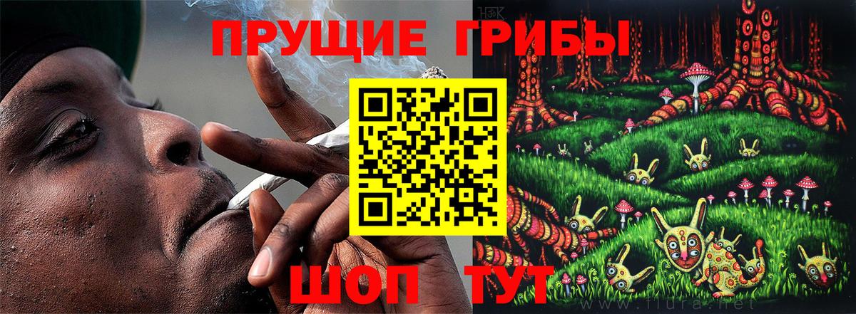 Псилоцибиновые грибы Cubensis  Вход с VPN  Череповец 